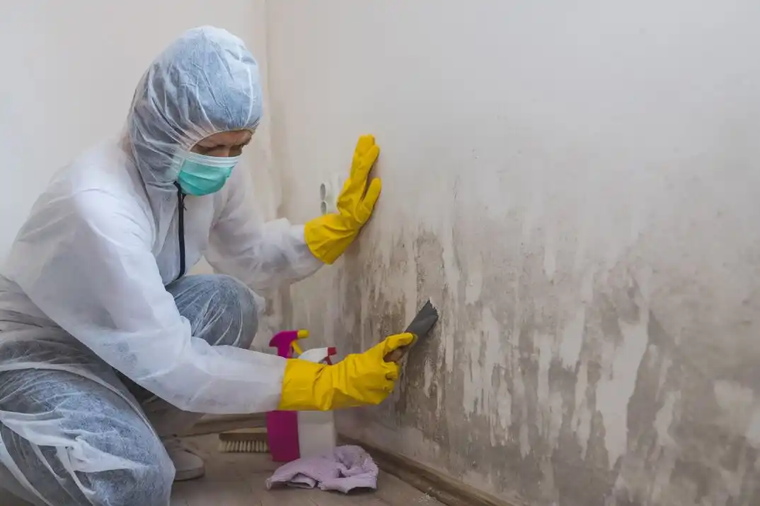 water damage restoration service Oak HIll